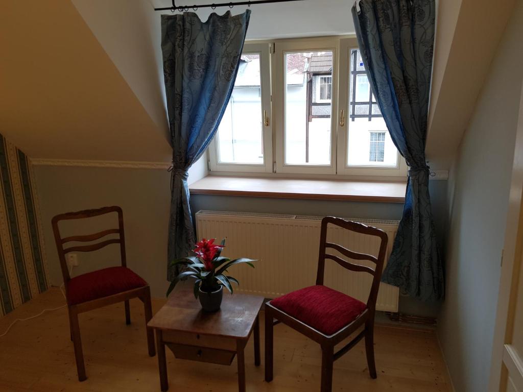 Vila Janáčkova - 1st republic villa room 3